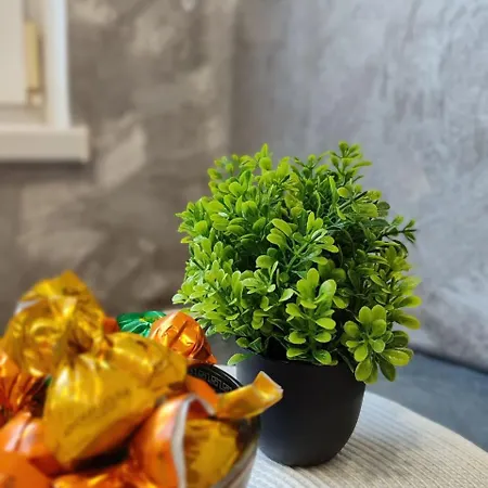 Vahtra Apartman Narva