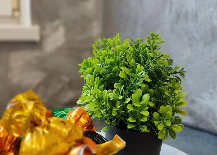 Vahtra 公寓 纳尔瓦