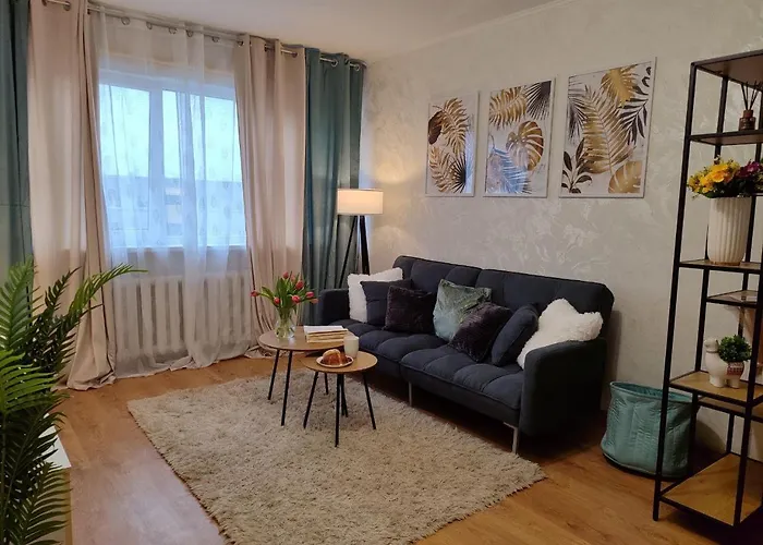 Vahtra 公寓 纳尔瓦